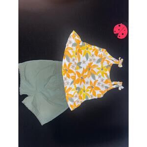 Baby Girl Short Set Outfit Just One You by Carter’s 6M
